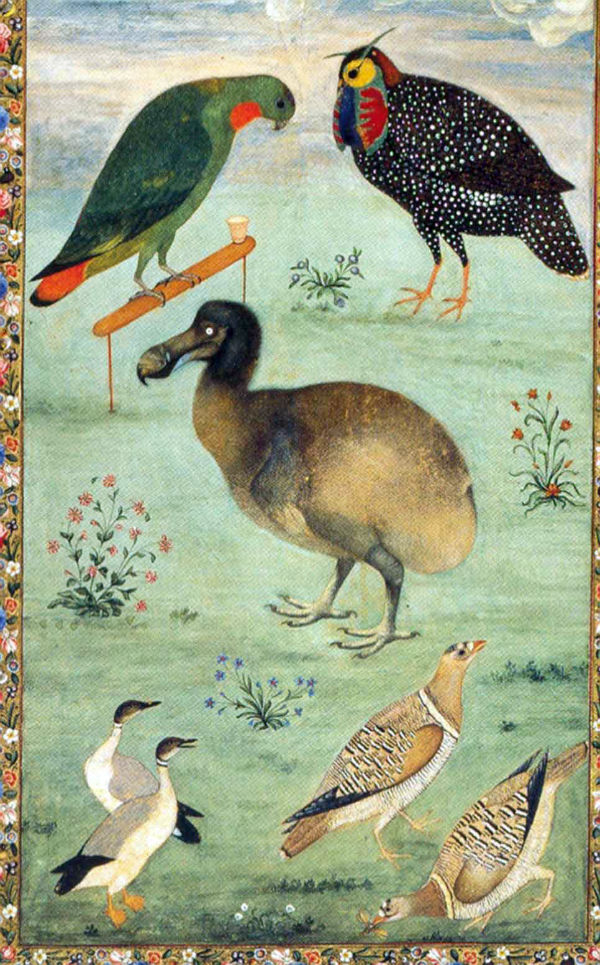 پرندگان، اثر منصور، حدود ۱۶۱۰، دوران جهانگیر